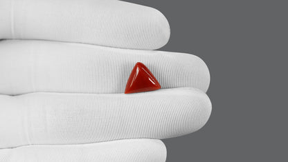 Italian Red Coral 5.68 Carats / 6.24 Ratti