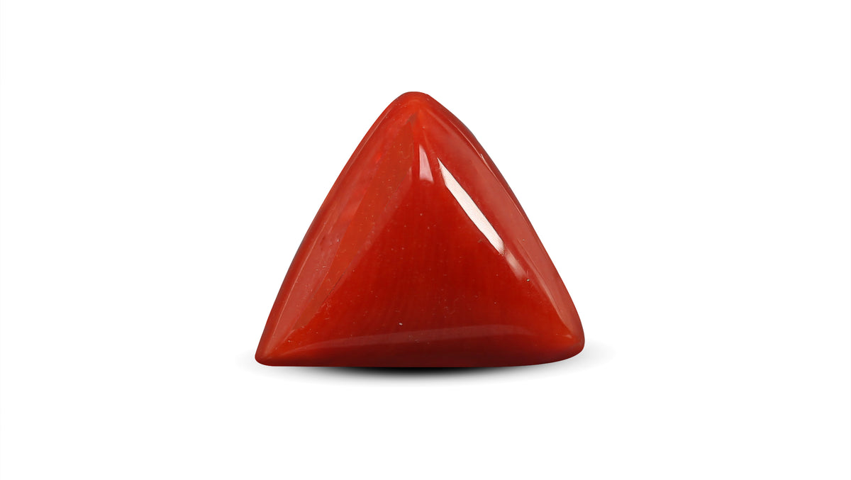 Italian Red Coral 5.68 Carats / 6.24 Ratti