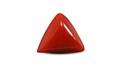 Italian Red Coral 5.68 Carats / 6.24 Ratti