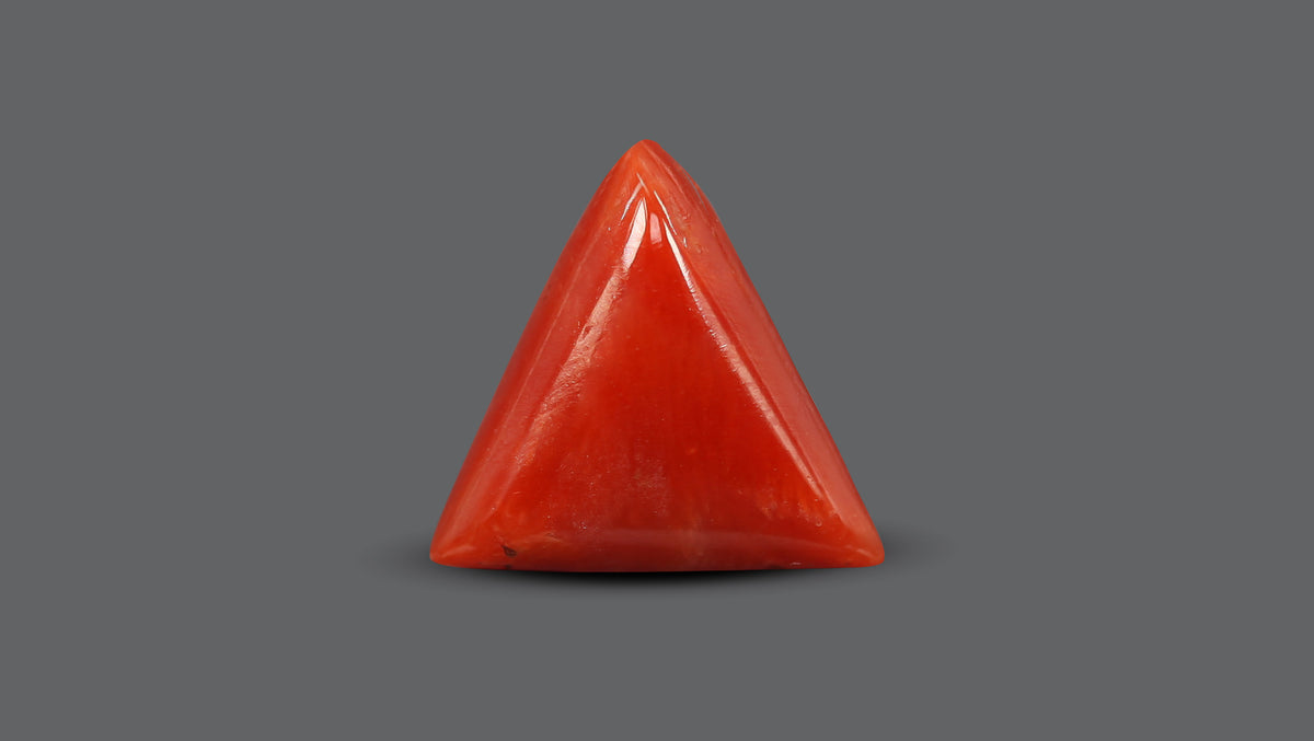 Italian Red Coral 5.64 Carats / 6.2 Ratti