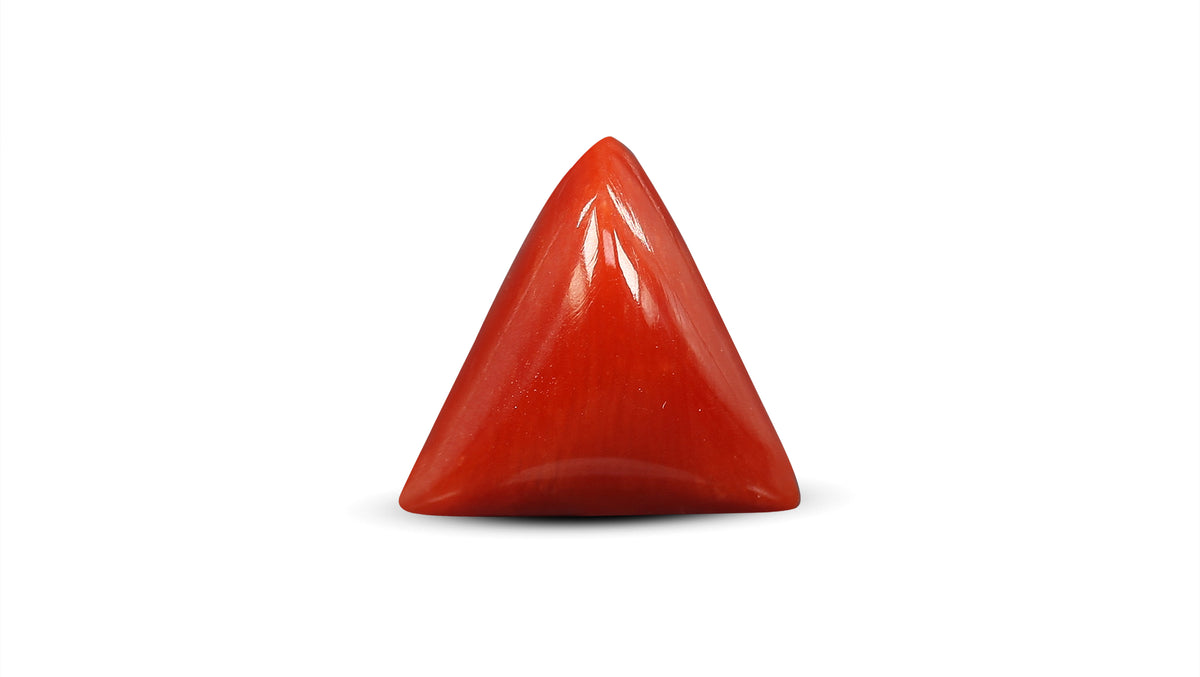 Italian Red Coral 5.64 Carats / 6.2 Ratti