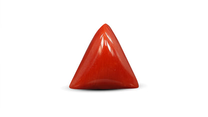 Italian Red Coral 5.64 Carats / 6.2 Ratti
