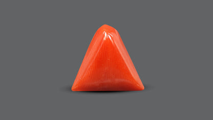 Italian Red Coral 6.43 Carats / 7.07 Ratti