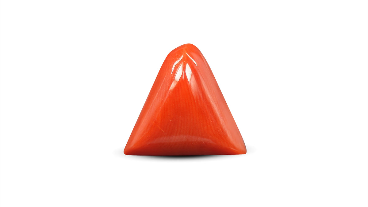 Italian Red Coral 6.43 Carats / 7.07 Ratti