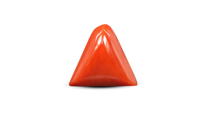 Italian Red Coral 6.43 Carats / 7.07 Ratti
