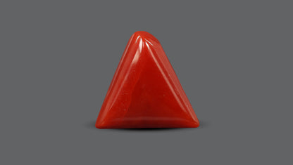 Italian Red Coral 5.91 Carats / 6.49 Ratti