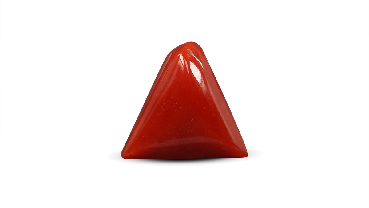 Italian Red Coral 5.91 Carats / 6.49 Ratti