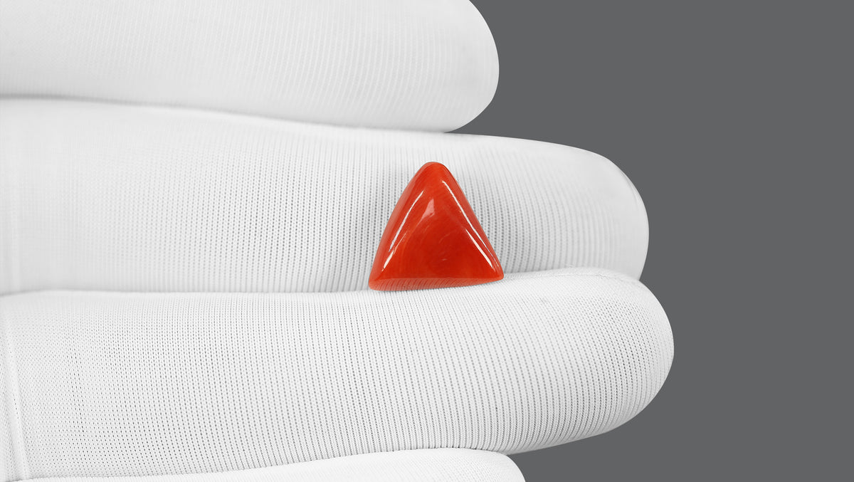 Italian Red Coral 5.84 Carats / 6.42 Ratti
