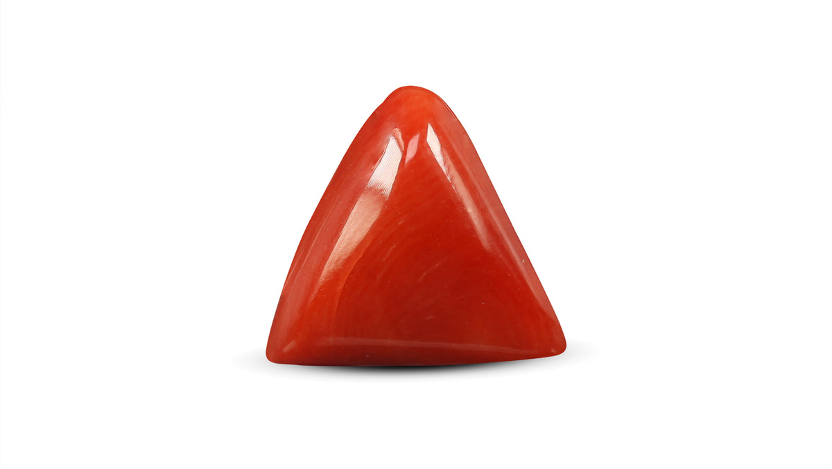 Italian Red Coral 5.84 Carats / 6.42 Ratti