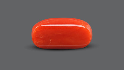 Italian Red Coral 9.52 Carats / 10.46 Ratti