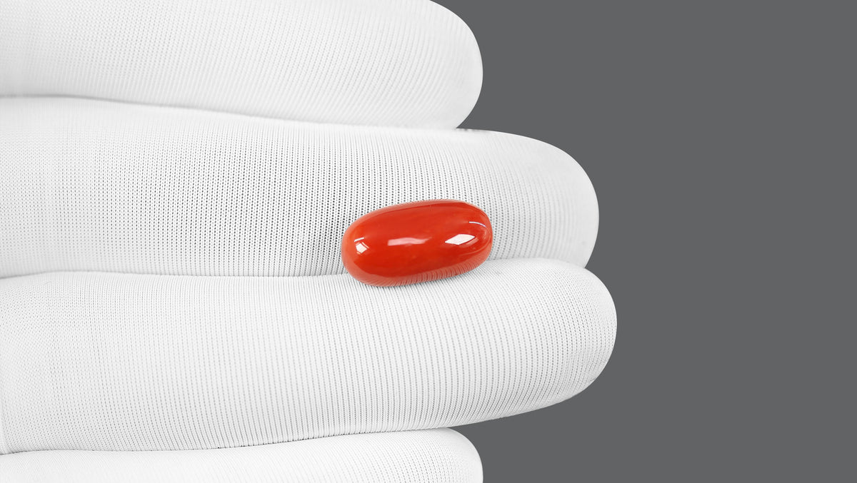 Italian Red Coral 9.52 Carats / 10.46 Ratti