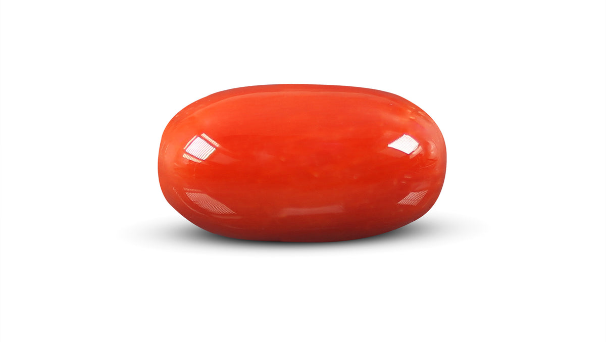 Italian Red Coral 9.52 Carats / 10.46 Ratti