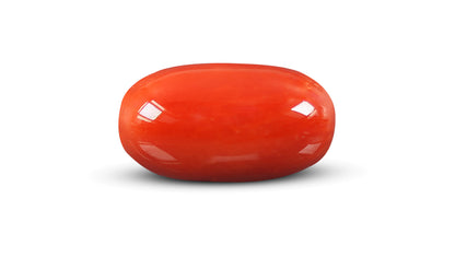Italian Red Coral 9.52 Carats / 10.46 Ratti