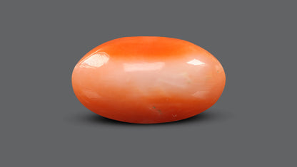 Japanese Red Coral 7.13 Carats / 7.84 Ratti