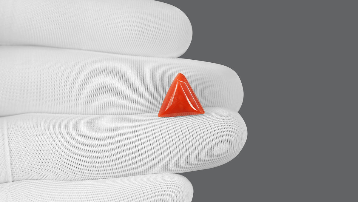Italian Red Coral 6.65 Carats / 7.31 Ratti