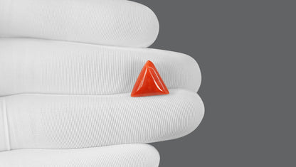 Italian Red Coral 6.65 Carats / 7.31 Ratti