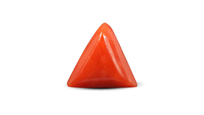 Italian Red Coral 6.65 Carats / 7.31 Ratti