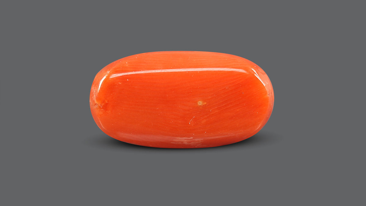 Italian Red Coral 8.66 Carats / 9.52 Ratti