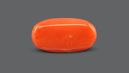 Italian Red Coral 8.66 Carats / 9.52 Ratti