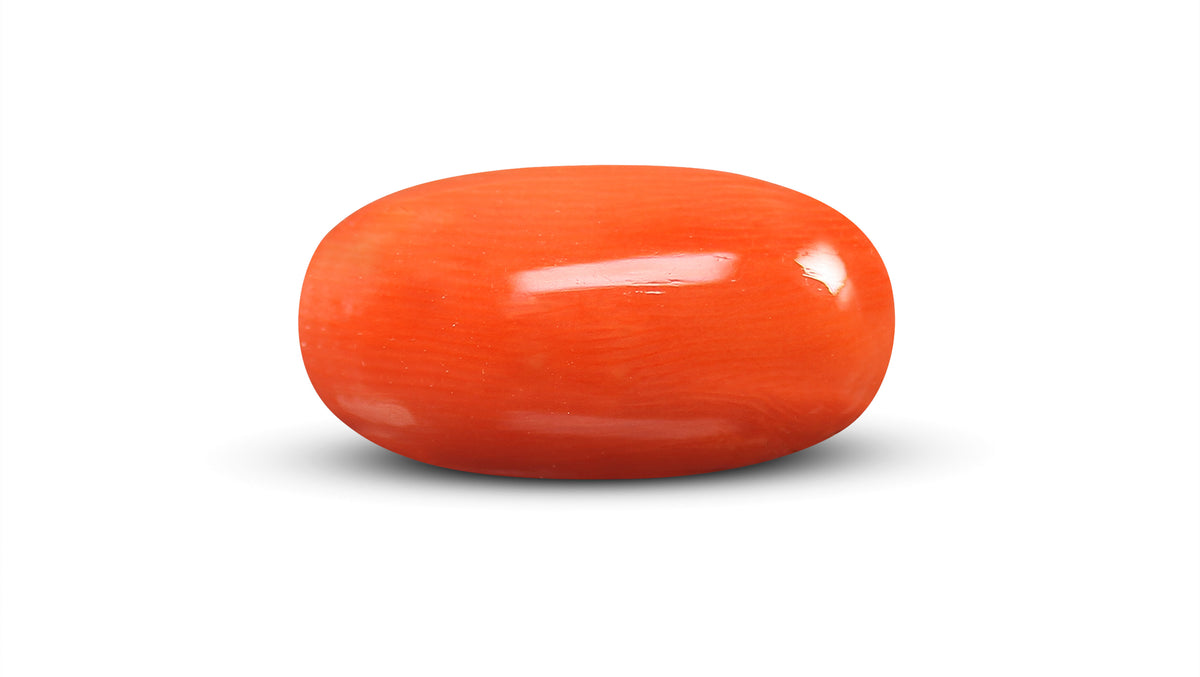 Italian Red Coral 8.66 Carats / 9.52 Ratti
