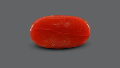 Italian Red Coral 7.63 Carats / 8.38 Ratti