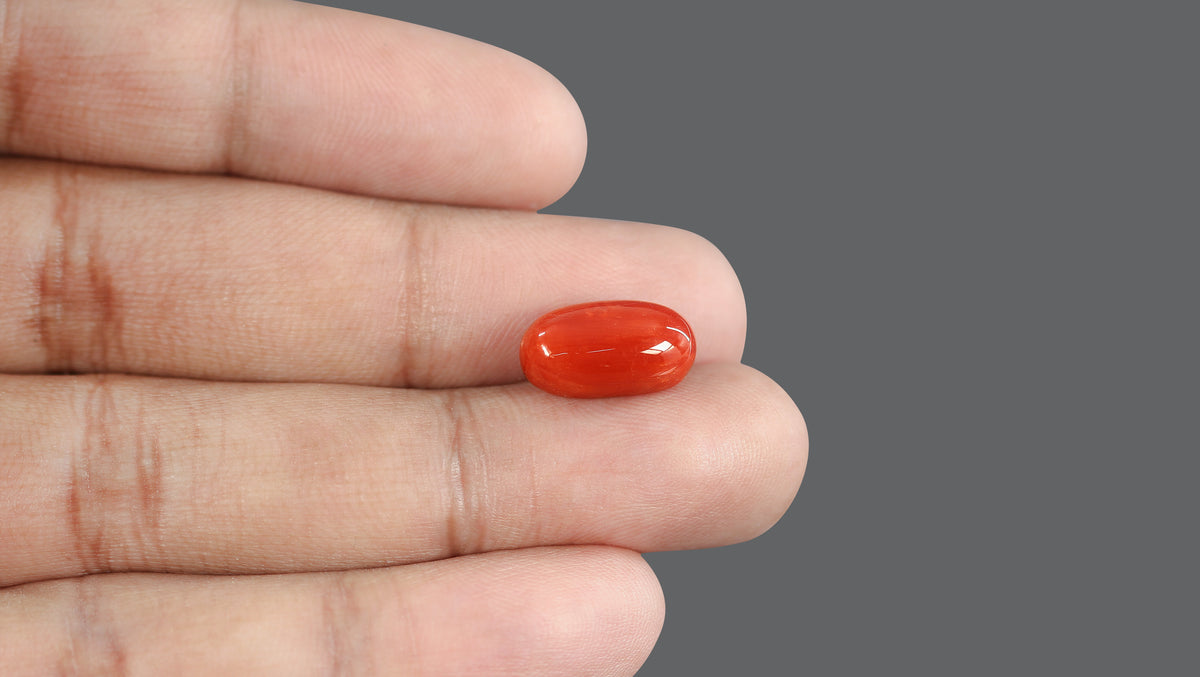 Italian Red Coral 7.63 Carats / 8.38 Ratti