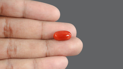 Italian Red Coral 7.63 Carats / 8.38 Ratti