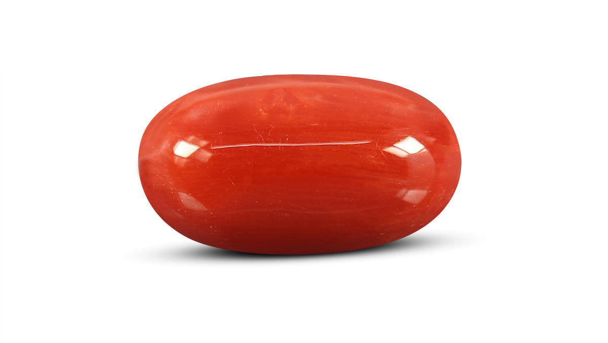 Italian Red Coral 7.63 Carats / 8.38 Ratti