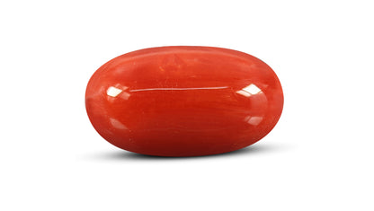 Italian Red Coral 7.63 Carats / 8.38 Ratti