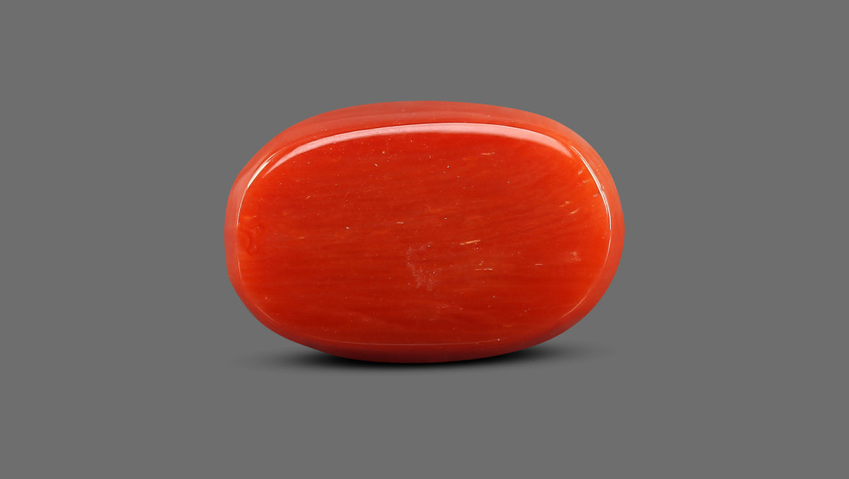 Italian Red Coral 15.75 Carats / 17.31 Ratti