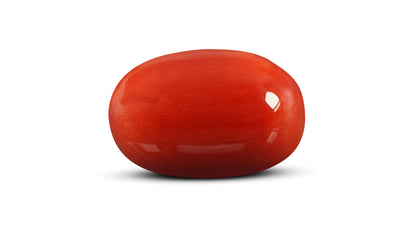 Italian Red Coral 15.75 Carats / 17.31 Ratti