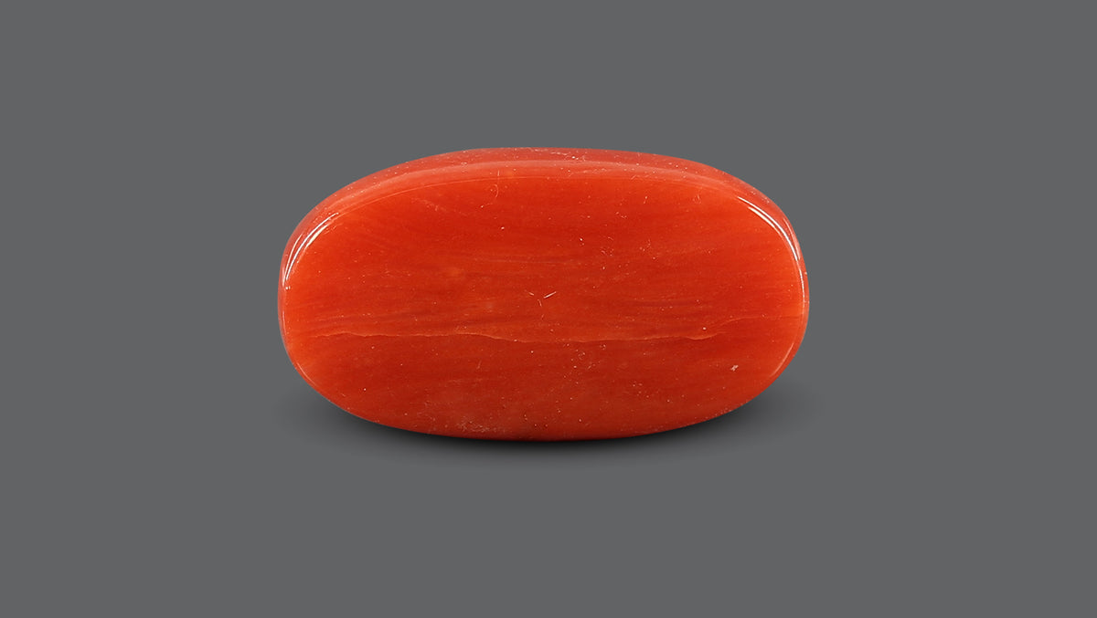 Italian Red Coral 7.82 Carats / 8.59 Ratti