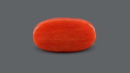 Italian Red Coral 7.82 Carats / 8.59 Ratti