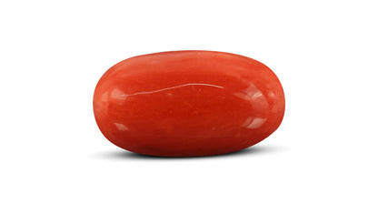 Italian Red Coral 7.82 Carats / 8.59 Ratti