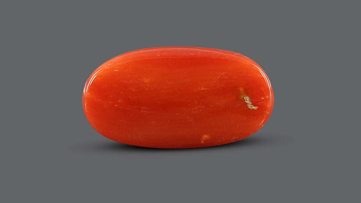 Italian Red Coral 7.71 Carats / 8.47 Ratti