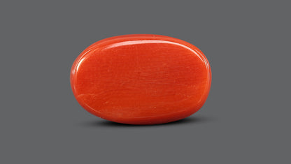 Italian Red Coral 7.60 Carats / 8.35 Ratti