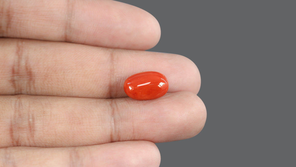 Italian Red Coral 7.60 Carats / 8.35 Ratti