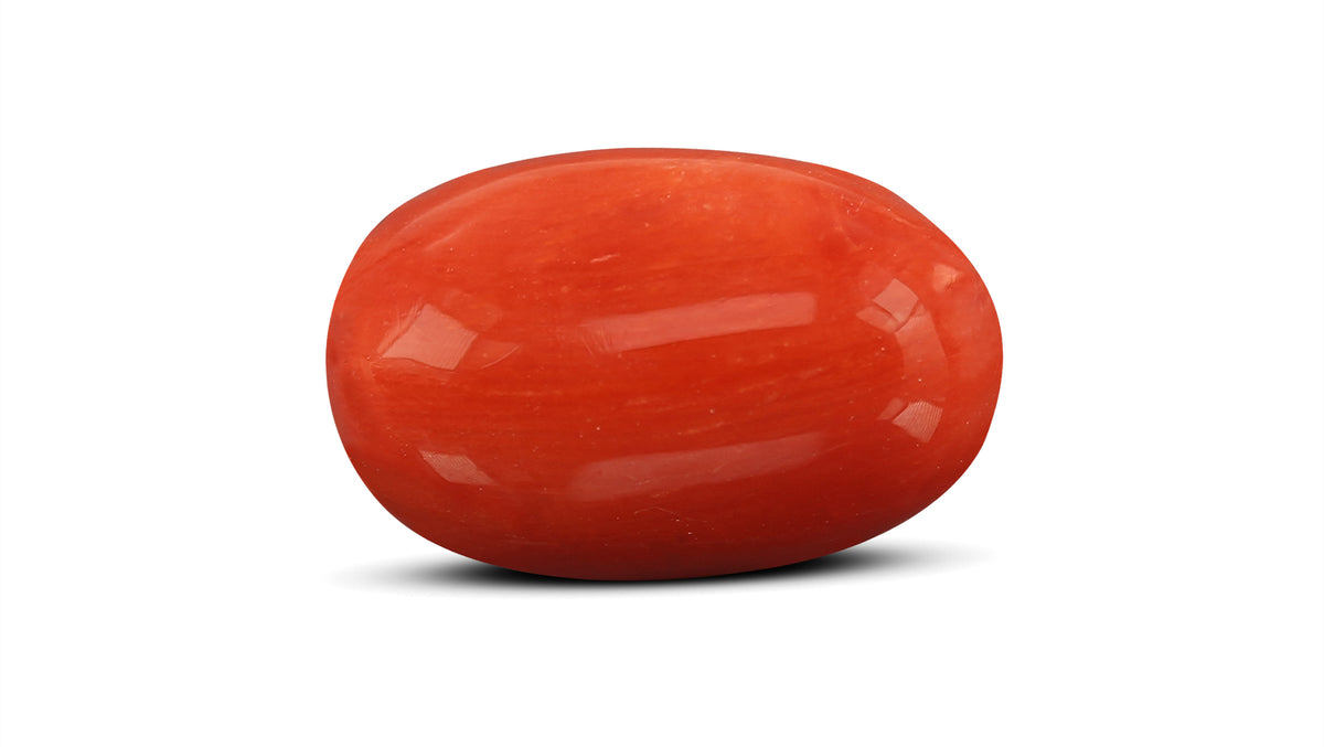 Italian Red Coral 7.60 Carats / 8.35 Ratti
