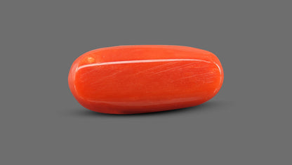 Italian Red Coral 8.46 Carats / 9.3 Ratti