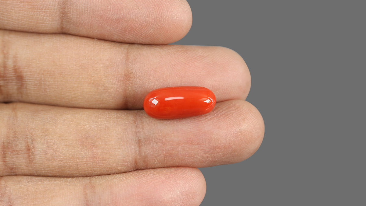 Italian Red Coral 8.46 Carats / 9.3 Ratti