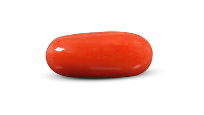 Italian Red Coral 8.46 Carats / 9.3 Ratti