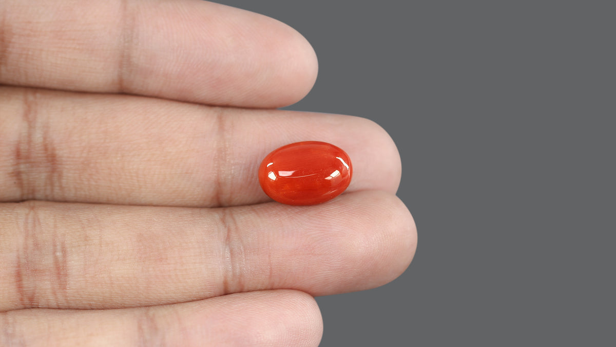 Italian Red Coral 8.13 Carats / 8.93 Ratti