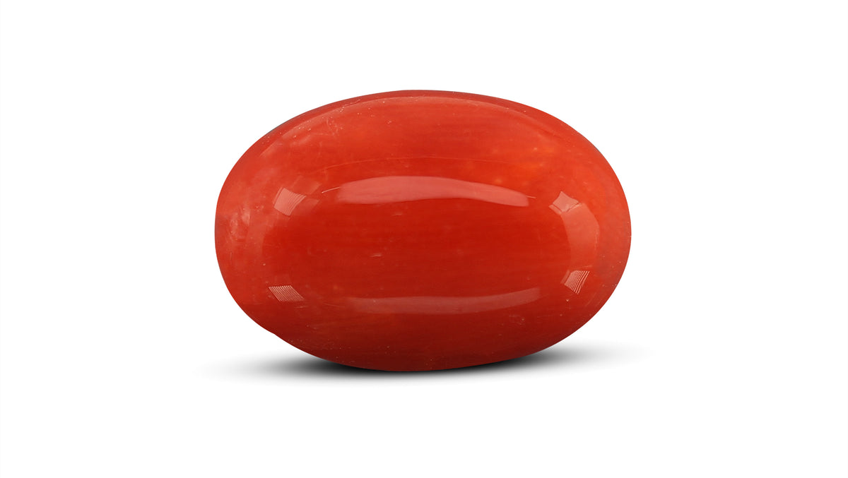 Italian Red Coral 8.13 Carats / 8.93 Ratti