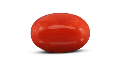 Italian Red Coral 8.13 Carats / 8.93 Ratti