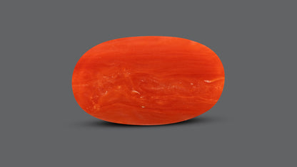 Italian Red Coral 7.53 Carats / 8.27 Ratti