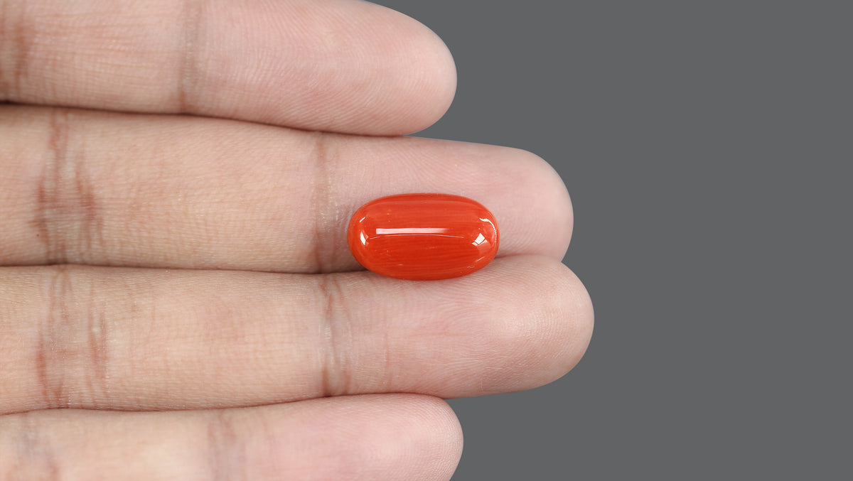 Italian Red Coral 7.53 Carats / 8.27 Ratti