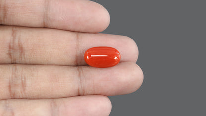 Italian Red Coral 7.53 Carats / 8.27 Ratti