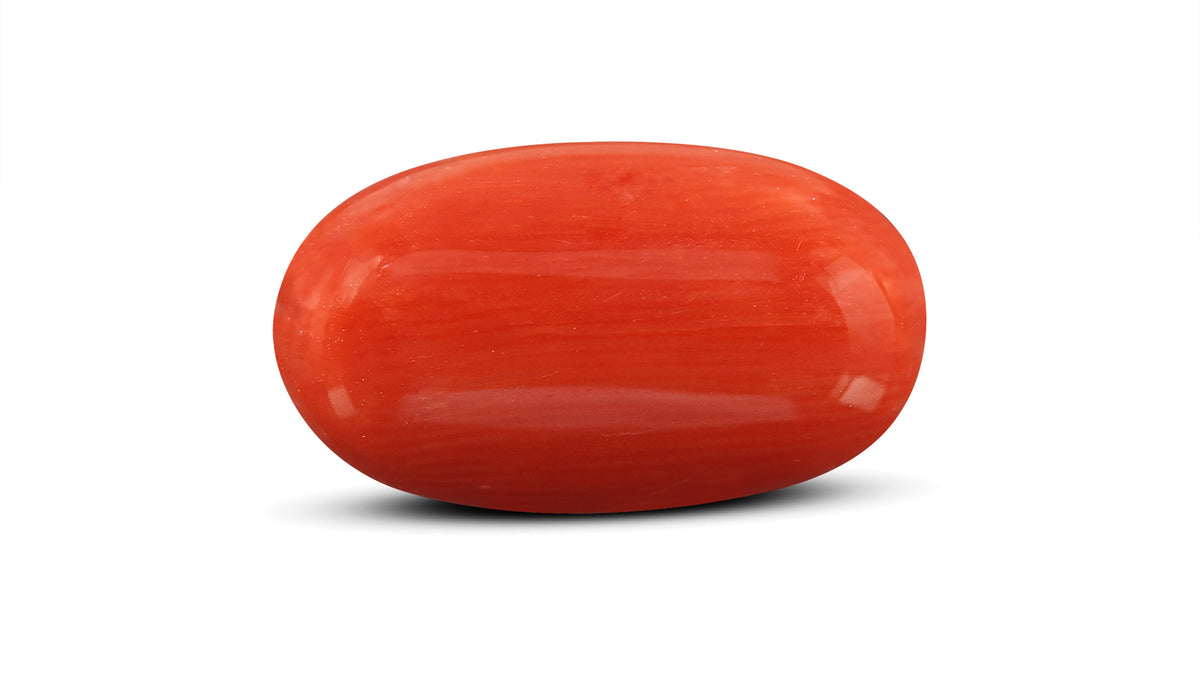 Italian Red Coral 7.53 Carats / 8.27 Ratti