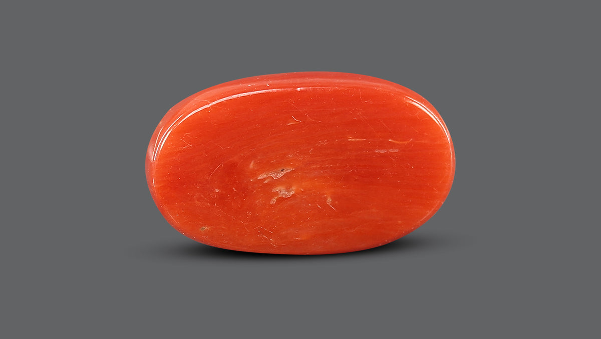 Italian Red Coral 7.63 Carats / 8.38 Ratti