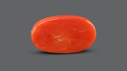 Italian Red Coral 7.63 Carats / 8.38 Ratti